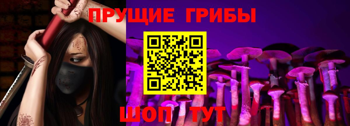 Псилоцибиновые грибы Psilocybe  Псилоцибиновые грибы Magic Shrooms  Вход с VPN  Солнечногорск 